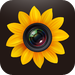 Photo Manager Pro